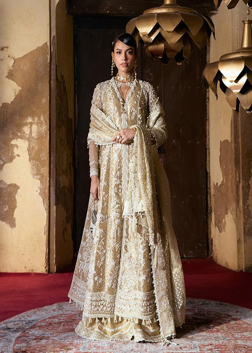 Suffuse - Freeshia Wedding Unstitched Collection 2026 - GULRAIZ